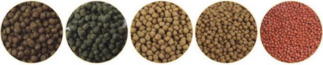 Fish Feed Making Machine